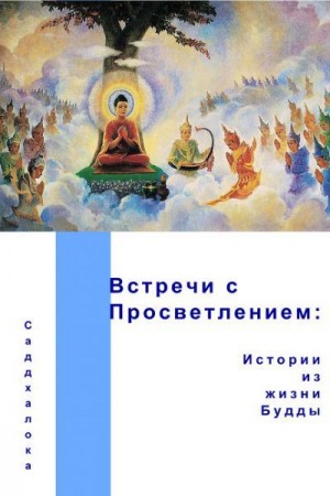 Люс) Саддхалока - Встречи с просветлением: истории из жизни Будды