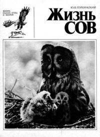 Пукинский Юрий - Жизнь сов
