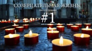 Голдсмит Джоэл - Созерцательная жизнь