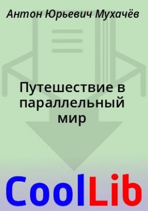 Мухачёв Антон - Путешествие в параллельный мир