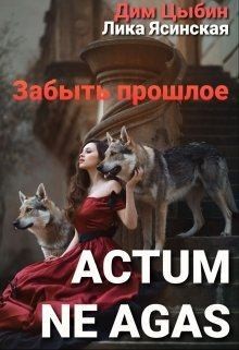 Ясинская Лика, Цыбин Дмитрий - Actum ne agas. Забыть прошлое