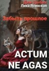 Ясинская Лика, Цыбин Дмитрий - Actum ne agas. Забыть прошлое