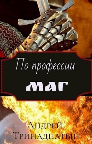 Тринадцатый Андрей - По профессии Маг