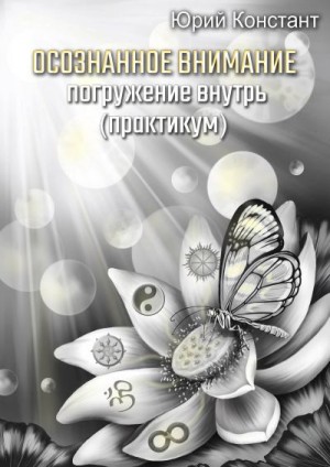 Констант Юрий - Осознанное внимание