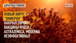 cкачать книгу Юрий Мухин Почему не выделяют вирус SARS-CoV-2