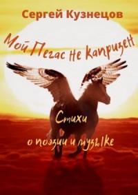 Мой Пегас не капризен
