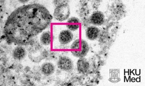 cкачать книгу Юрий Мухин Битва кретинов с омикроном и Змеем Горынычем