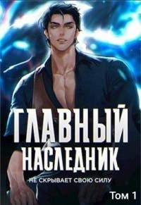Главный наследник НЕ скрывает свою силу. Том 1