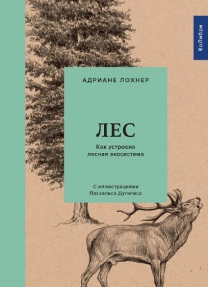 Лохнер Адриане - Лес. Как устроена лесная экосистема