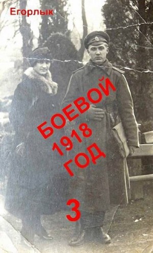 Конюшевский Владислав - Боевой 1918 год-3