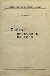 Собака-проводник слепого