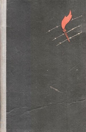 cкачать книгу Андрей Пирогов Этого забыть нельзя: Воспоминания бывшего военнопленного