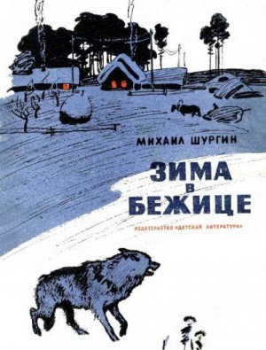 Шургин Михаил - Зима в Бежице