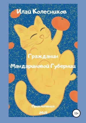 Колесников Илай - Гражданин Мандариновой Губернии