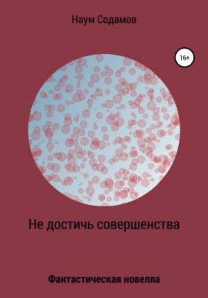 Содамов Наум - Не достичь совершенства