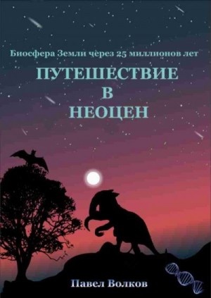 Волков Павел Иванович - Путешествие в неоцен