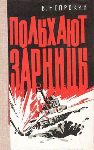 Непрокин Валентин - Полыхают зарницы