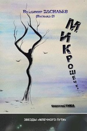 Васильев Владимир Германович - Микрошечка