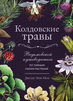 Нок Джуди Энн - Колдовские травы. Ведьмовской путеводитель по тайным силам растений