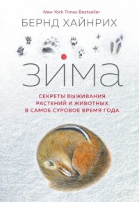 Зима. Секреты выживания растений и животных в самое суровое время года