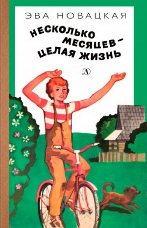 Новацкая Эва - Несколько месяцев — целая жизнь