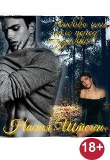 Штеген Настя - Любовь или долг перед судьбой