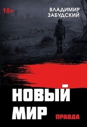 Забудский Владимир - Новый мир. Книга 4: Правда