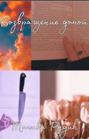 Рудик Толика - Возвращение домой