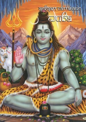 Паттанаик Дэвдатт - Шива