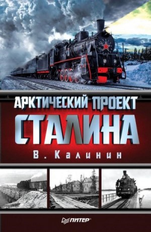 Калинин Вячеслав - Арктический проект Сталина