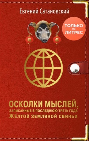 Сатановский Евгений - Осколки мыслей, записанные в последнюю треть года Жёлтой Земляной Свиньи