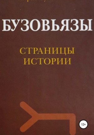 Сулейманов Айрат - Бузовьязы. Страницы истории