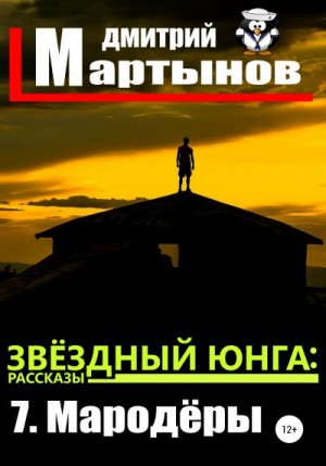 Мартынов Дмитрий - Звёздный юнга: 7. Мародёры