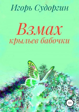 Судоргин Игорь - Взмах крыльев бабочки
