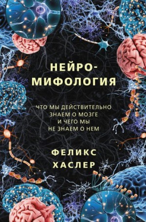 Хаслер Феликс - Нейромифология. Что мы действительно знаем о мозге и чего мы не знаем о нем