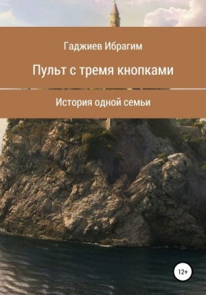 Гаджиев Ибрагим - Пульт с тремя кнопками