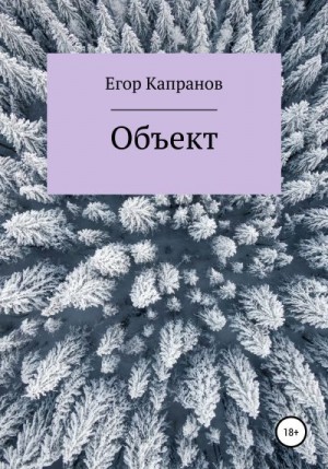 Капранов Егор - Объект