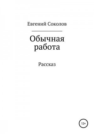 Соколов Евгений - Обычная работа