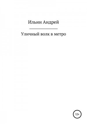 Ильин Андрей - Уличный волк в метро