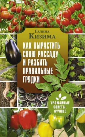 Кизима Галина - Как вырастить свою рассаду и разбить правильные грядки