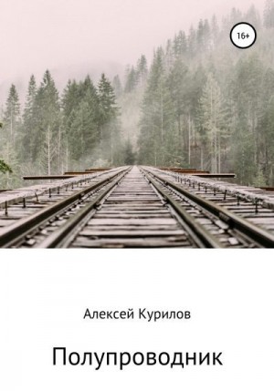 Курилов Алексей - Полупроводник