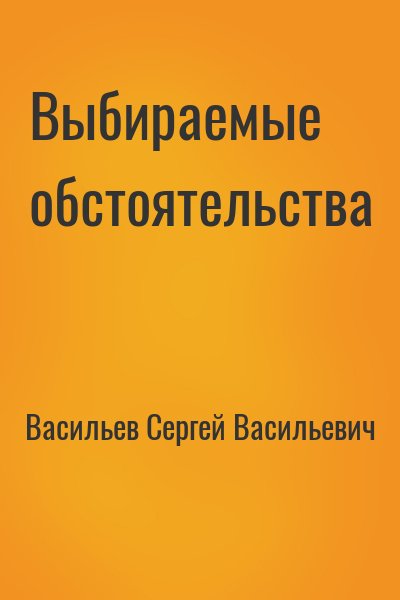 Васильев Сергей Александрович - Выбираемые обстоятельства