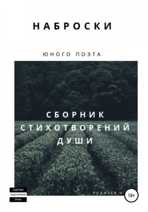 Родичев Никита - Наброски юного поэта, или Сборник стихотворений души