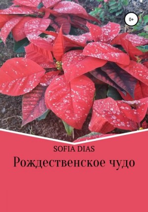 Sofia Dias - Рождественское Чудо