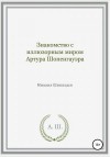 Шипицын Михаил - Знакомство с иллюзорным миром Артура Шопенгауэра