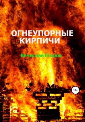 Егоров Вячеслав - Огнеупорные кирпичи