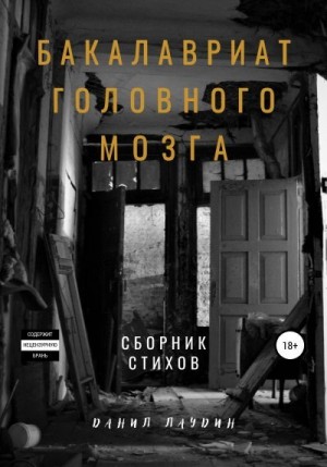 Лаудин Данил - Бакалавриат головного мозга