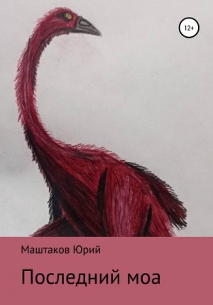 Маштаков Юрий - Последний моа