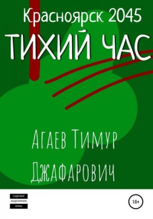 Агаев Тимур - Красноярск 2045: Тихий час