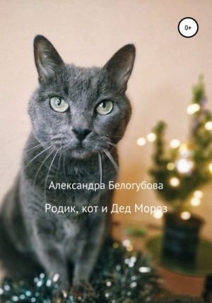 Белогубова Александра - Родик, кот и Дед Мороз